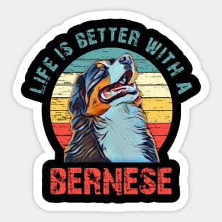 Bernese mountain dog Sticker